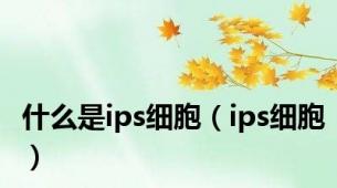 什么是ips细胞（ips细胞）