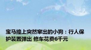 宝马撞上突然窜出的小狗：行人保护装置弹出 修车花费6千元