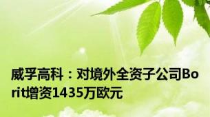 威孚高科：对境外全资子公司Borit增资1435万欧元