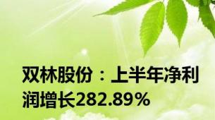 双林股份：上半年净利润增长282.89%