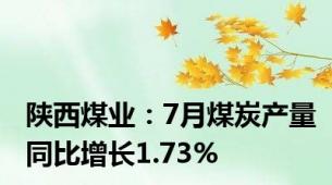 陕西煤业：7月煤炭产量同比增长1.73%