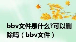 bbv文件是什么?可以删除吗（bbv文件）