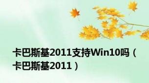 卡巴斯基2011支持Win10吗（卡巴斯基2011）