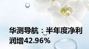 华测导航：半年度净利润增42.96%