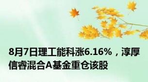 8月7日理工能科涨6.16%，淳厚信睿混合A基金重仓该股