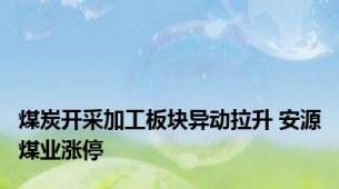 煤炭开采加工板块异动拉升 安源煤业涨停