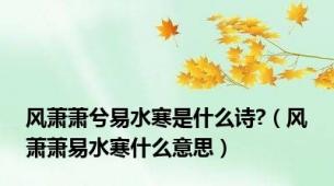 风萧萧兮易水寒是什么诗?（风萧萧易水寒什么意思）