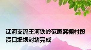 辽河支流王河铁岭范家窝棚村段溃口堤坝封堵完成