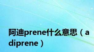 阿迪prene什么意思（adiprene）