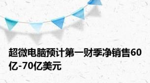 超微电脑预计第一财季净销售60亿-70亿美元