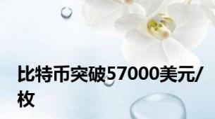 比特币突破57000美元/枚