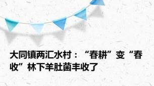 大同镇两汇水村：“春耕”变“春收”林下羊肚菌丰收了