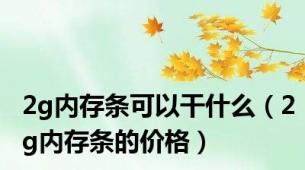 2g内存条可以干什么（2g内存条的价格）