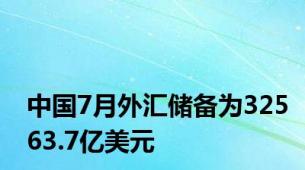 中国7月外汇储备为32563.7亿美元