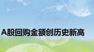 A股回购金额创历史新高