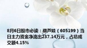 8月6日股市必读：葫芦娃（605199）当日主力资金净流出237.14万元，占总成交额4.15%