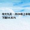 华大九天：2024年上半年净利润下降54.81%