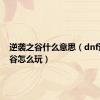 逆袭之谷什么意思（dnf逆袭之谷怎么玩）