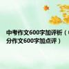 中考作文600字加评析（中考满分作文600字加点评）