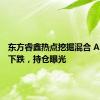 东方睿鑫热点挖掘混合 A：净值下跌，持仓曝光