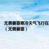 无畏要塞寒冷天气飞行在哪里学（无畏要塞）