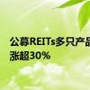 公募REITs多只产品年内涨超30%