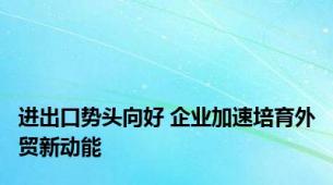 进出口势头向好 企业加速培育外贸新动能