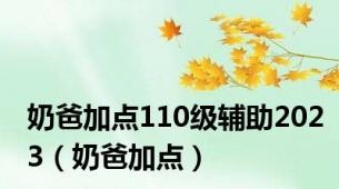 奶爸加点110级辅助2023（奶爸加点）