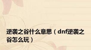 逆袭之谷什么意思（dnf逆袭之谷怎么玩）