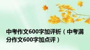 中考作文600字加评析（中考满分作文600字加点评）