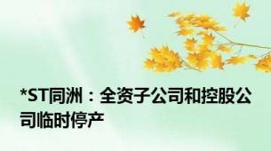 *ST同洲：全资子公司和控股公司临时停产