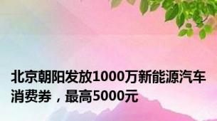 北京朝阳发放1000万新能源汽车消费券，最高5000元