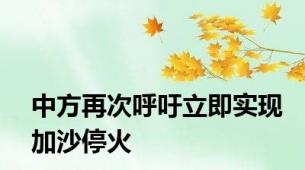 中方再次呼吁立即实现加沙停火