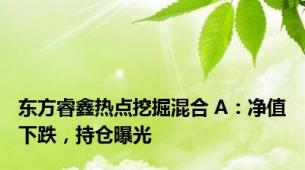 东方睿鑫热点挖掘混合 A：净值下跌，持仓曝光