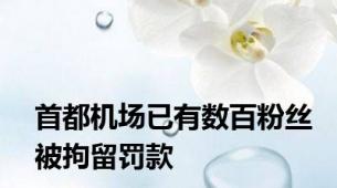 首都机场已有数百粉丝被拘留罚款