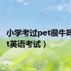 小学考过pet很牛吗（pet英语考试）