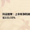 科远智慧：上半年净利润同比增长153.55%