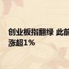 创业板指翻绿 此前一度涨超1%