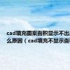 cad填充图案面积显示不出来是什么原因（cad填充不显示面积）