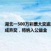 湖北一500万彩票大奖逾期未兑成弃奖，将纳入公益金