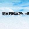 盟固利触及20cm跌停