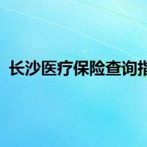 长沙医疗保险查询指南