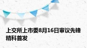 上交所上市委8月16日审议先锋精科首发