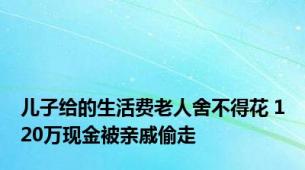 儿子给的生活费老人舍不得花 120万现金被亲戚偷走