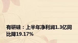 有研硅：上半年净利润1.3亿同比降19.17%