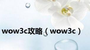 wow3c攻略（wow3c）