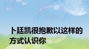 卜廷凯很抱歉以这样的方式认识你