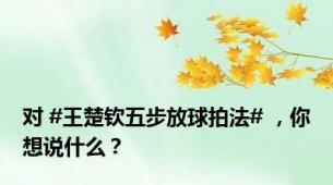 对 #王楚钦五步放球拍法# ，你想说什么？