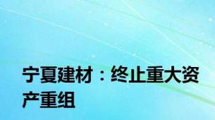 宁夏建材：终止重大资产重组