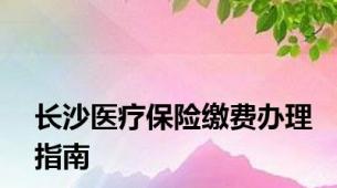 长沙医疗保险缴费办理指南